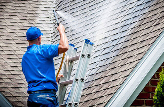 grapevine roof cleaning